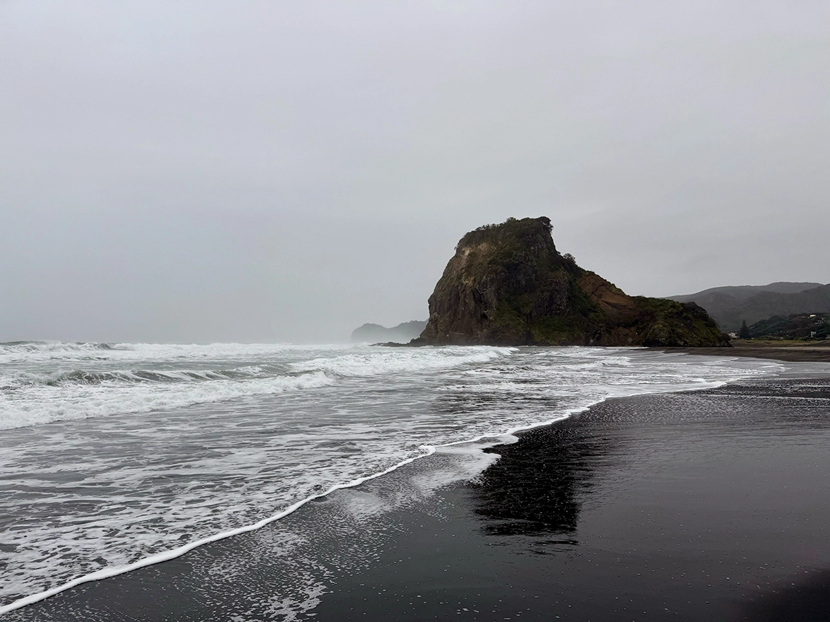 ONE FIVE ONE Health Club gallery image