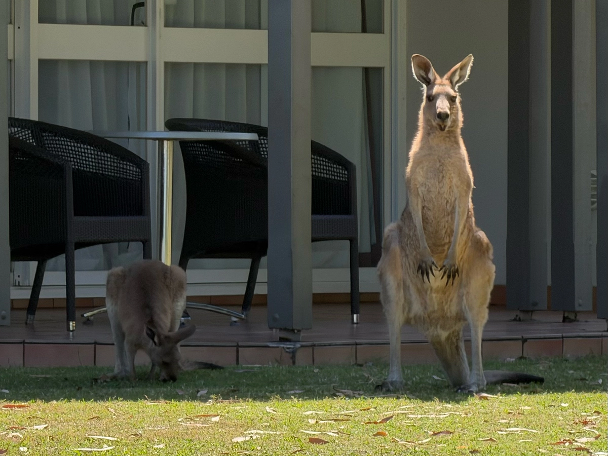 Cotton Tree Aquatic Centre gallery image